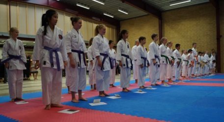 karate graduering karate graduering